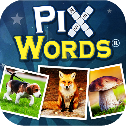 4. PixWords